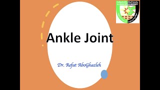 Ankle Joint [upl. by Elok]