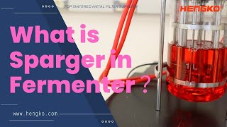 What is Sparger in Fermenter ？Check this Video Know details [upl. by Ellynad86]