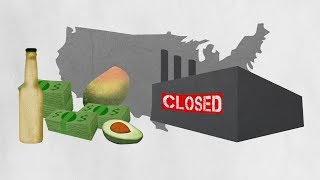 NAFTA explained by avocados And shoes [upl. by Adnomar]