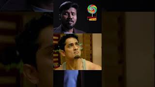 takkar review  takkar movie review  takkar takkar movie reviewpocketviews [upl. by Ander]