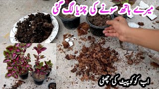 Cocopeat ki shuti cocopeat ka tor mil gya  soft metrial for plants [upl. by Nnayllas]