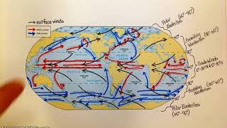 Ocean Currents and Gyres [upl. by Brookes182]