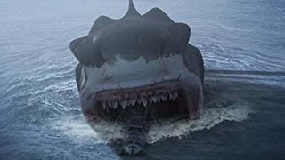 10 Megalodon Sightings That PROVE It Exists [upl. by Acirt]