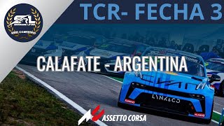 SRL Series Competitivas TCR Sesion 1  Fecha 3  Calafate [upl. by Eniac26]