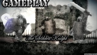 Salt And Sanctuary The Festering Banquet The Sodden Knight 2 player Speed run PS4 Gameplay [upl. by Alaekim]