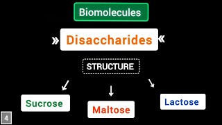 What are Disaccharides structure of sucrose maltose lactose  Biomolecules  simplified [upl. by Aletta349]