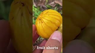 Have you ever eaten this Fruit🍈🍐🍊🥭🍎 fruit shorts  fruit fruitcutting fruiteating shorts [upl. by Zeuqcaj]