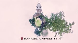 Getting ready for Harvard Commencement [upl. by Pam813]