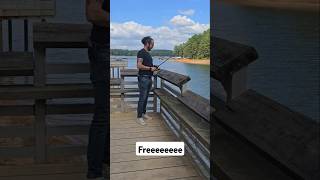 FREEEEEEE free shortsvideo shortsfeed shortvideo shorts short shortsviral fishing [upl. by Thisbee]