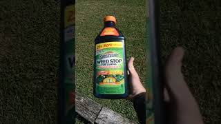 spectracide weed killer spraying before [upl. by Rattray993]