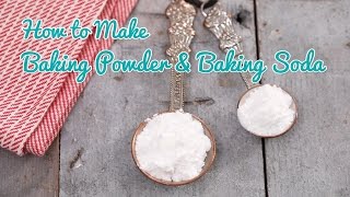 How to Make Baking Powder amp Baking Soda  Gemmas Bold Baking Basics Ep 33 [upl. by Deibel]