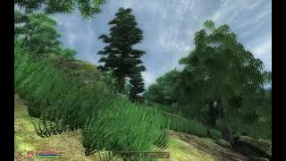 Oblivion  Sightseeing to Leyawiin via Elsweyr  720p HD [upl. by Kaylil]