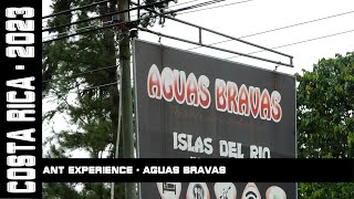 Hormigas Town Ant Experience Aguas Bravas Costa Rica 2023 [upl. by Enylorac]