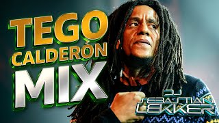 Tego Calderon Mix HD 2024  Dj Sebastian Lekker [upl. by Sims647]