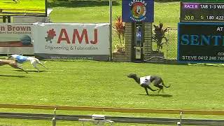 Capalaba27102024Race8 [upl. by Norb]