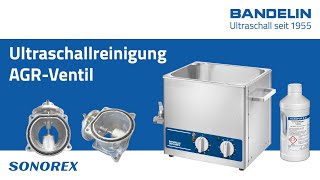 AGRVentil reinigen mit Ultraschall im BANDELIN SONOREX Ultraschallreiniger [upl. by Lewellen]