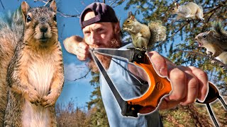 Hunting With a Slingshot CONTAINS HUNTING FOOTAGE  Catch Clean Cook [upl. by Irrol]