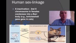 Chromosomal Basis of Inheritance [upl. by Niwhsa269]