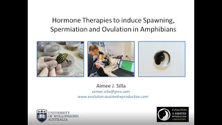 Hormone therapies to induce spawning spermiation and ovulation in amphibians [upl. by Bunce]