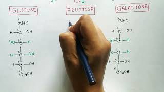 Carbohydrates  Monosaccharides  Glucose  Fructose  Galactose [upl. by Willner]