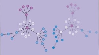 AIEEE Chemistry Paper 2010 AIEEE2010 IONIC EQUILIBRIA SOLUBILITY PRODUCT [upl. by Hanforrd]