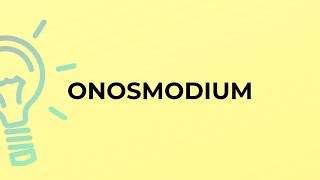 What is the meaning of the word ONOSMODIUM [upl. by Atsocal]