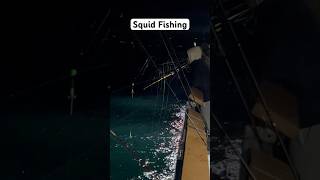 Puget Sound Squid Fishing Battle Fishing [upl. by Aimehs277]