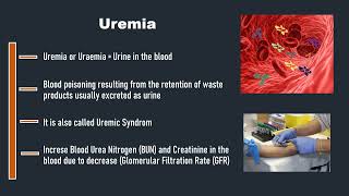 Uremia [upl. by Eerpud839]