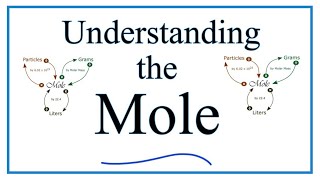 Understanding the Mole the basics [upl. by Durwin]