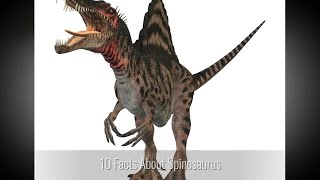 10 Interesting Facts about Spinosaurus [upl. by Mmada]