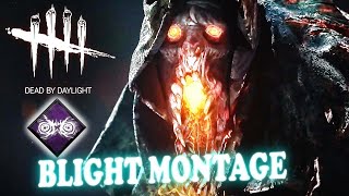 BLIGHT INSANE MONTAGE [upl. by Ramalahs501]