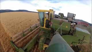 Cutting Wheat with John Deere 95 [upl. by Reggie]