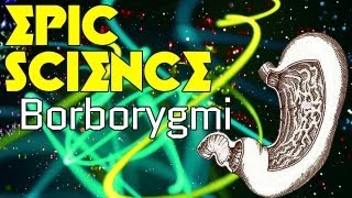 Borborygmi  Epic Science 7 [upl. by Kcam]