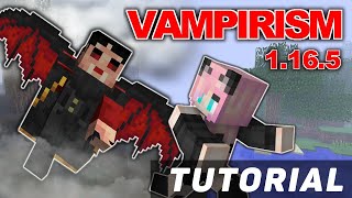 Vampirism mod How to become a vampire lord Tutorial  Guide 1165 minecraft java edition [upl. by Asi14]