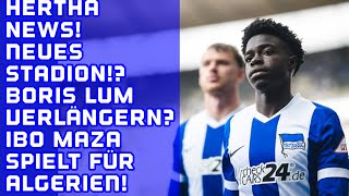 HERTHA NEWS Boris Lum Verlängerung Neues Stadion Ibo Maza für Algerien [upl. by Lindner]