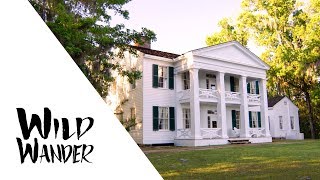 The Historic Gregory House at Torreya State Park • WILD WANDER Apalachicola River [upl. by Sashenka]