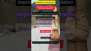 Headstand and benefits yogawithprabhat motivation health yogaposes yoga yogaasanas headstand [upl. by Ahsekel]