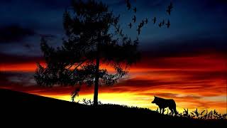 Wolf Howling Sound Effect Free  Animal Sounds [upl. by Oznecniv473]