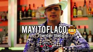 MAYITO FLACO  PANTER BELICO  2024 [upl. by Acilgna]