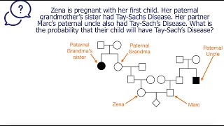 Probability calculation from a pedigree  Sample 4 [upl. by Namus]