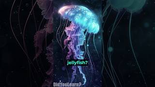 The Immortal Jellyfish  Turritopsis Dohrnii facts knowledge [upl. by Naujd559]