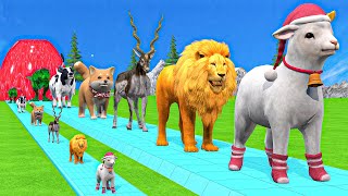 Paint amp Animals CowGorillaElephantLionTigerDinosaur Fountain Crossing Transformation Cartoon [upl. by Suirada506]