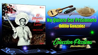 No Quiero Ser Prisionero  Odilio González  Música Picotera [upl. by Ilaire]