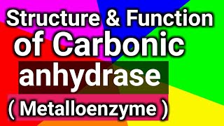 structure amp function of Carbonic anhydrase Metalloenzyme [upl. by Sorgalim]