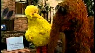 Sesame Street  Big Bird amp Snuffy Mail a Letter [upl. by Acyssej]