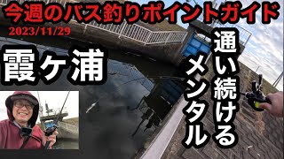 冬の霞ヶ浦バス釣りおかっぱり調査。シャロー減水編2023年11月29日 [upl. by Koziel712]