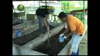 Demo on Vermicomposting amp Vermiculture courtesy of Dr Ed Lalas DAQAES [upl. by Aleb]