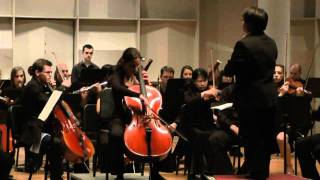 Dvoraks Cello Concerto 1st Movement Part1 [upl. by Anelaf]