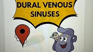 Dural Venous Sinuses made easy [upl. by Phene]