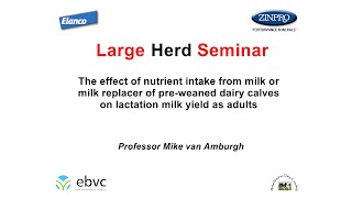 The effect of nutrient intake from milk of preweaned dairy calves by Professor Mike van Amburgh [upl. by Pigeon]